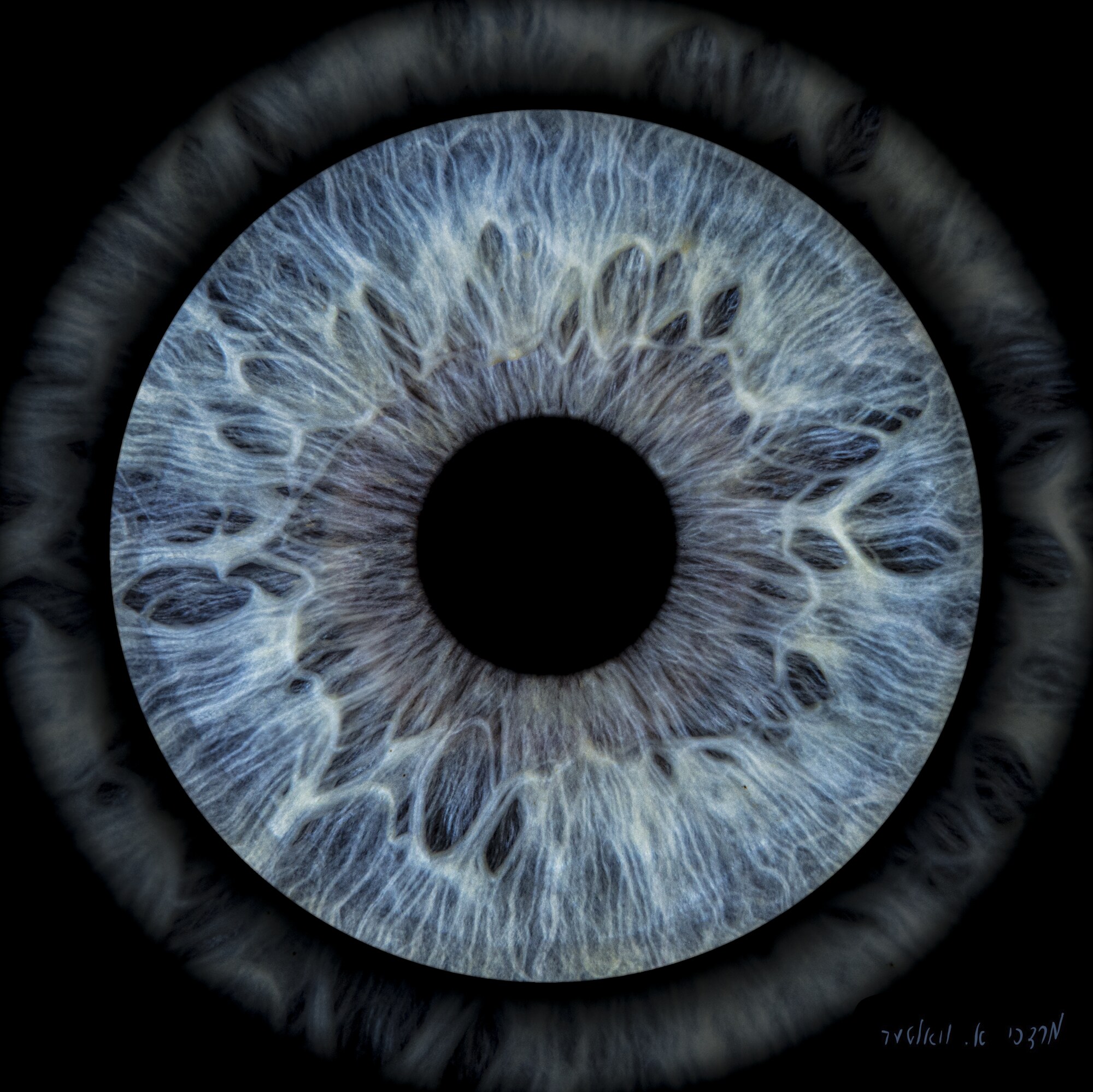 A human iris — the way of seeing behind MAWA